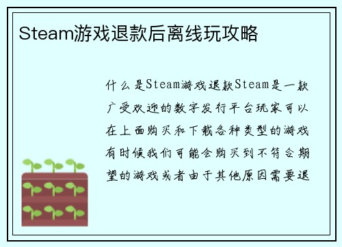 Steam游戏退款后离线玩攻略